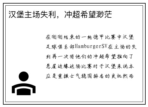 汉堡主场失利，冲超希望渺茫
